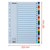 PRZEKŁADKI A4 ESSELTE 15263 MIX PP 20SZT