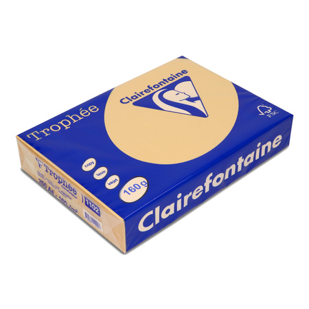 PAPIER KSERO KOLOR A4 TROPHEE BRĄZ WIELBŁĄDZI 160G 250 ARK