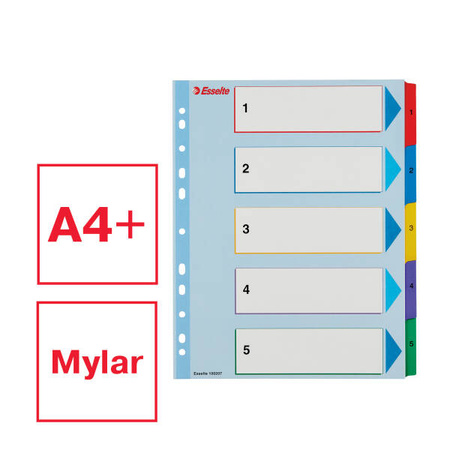 PRZEKŁADKI 1-5 A4 MAXI ESSELTE 100207 MIX