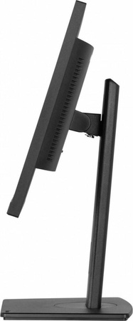 IIYAMA MONITOR 24 CALE XUB2497HSU-B2 IPS, HDMI, DP, 2X2W, 2XUSB, PIVOT, HAS(150MM)