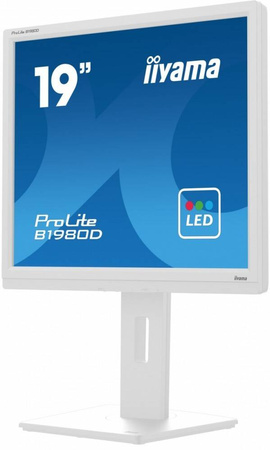 IIYAMA MONITOR 19 CALI B1980D-W5 DVI,VGA,PIVIOT,HAS/150MM,5:4