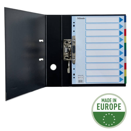 PRZEKŁADKI A4 MAXI ESSELTE 15267 MIX PP 10SZT