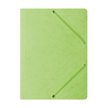 TECZKA Z GUMKĄ A4 BANTEX 400087827 JASNO ZIELONA PRESZPANOWA