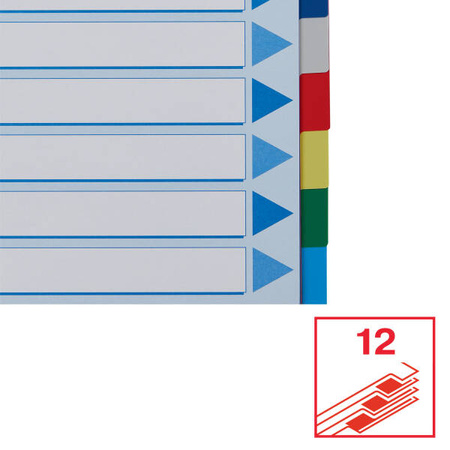PRZEKŁADKI A4 ESSELTE 15262 MIX PP 12SZT