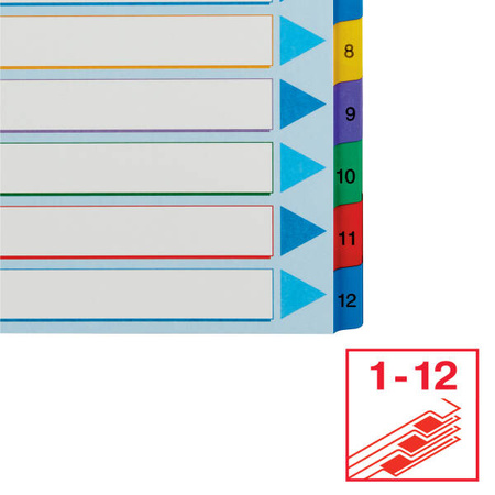 PRZEKŁADKI 1-12 A4 MAXI ESSELTE 100209 MIX