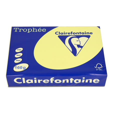 PAPIER KSERO KOLOR A4 TROPHEE ŻÓŁTY 160G 250 ARK