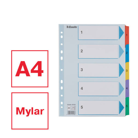 PRZEKŁADKI 1-5 A4 ESSELTE MYLAR 100160 MIX KARTON 160G