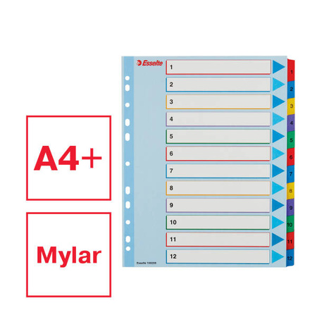 PRZEKŁADKI 1-12 A4 MAXI ESSELTE 100209 MIX