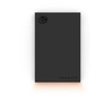 SEAGATE DYSK TWARDY FIRECUDA GAMING 5TB 2,5E STKL5000400