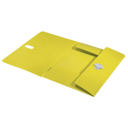 TECZKA SEGREGUJĄCA A4 LEITZ SOLID 45791001 BIAŁY 6 PRZEGRÓDEK