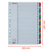 PRZEKŁADKI 1-31 A4 ESSELTE MYLAR 100164 MIX KARTON 160G