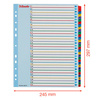 PRZEKŁADKI 1-31 A4 MAXI ESSELTE 100210 MIX