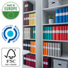 SEGREGATOR A4 ESSELTE FSC® 60 MM 68228 CZARNY
