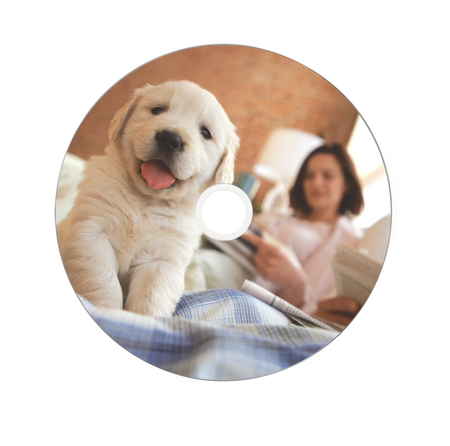 PŁYTA DVD-R 4,7GB 16X VERBATIM DATALIFE PLUS 43755 CAKE 50 SZT.