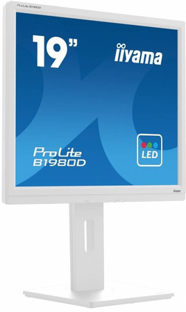 IIYAMA MONITOR 19 CALI B1980D-W5 DVI,VGA,PIVIOT,HAS/150MM,5:4