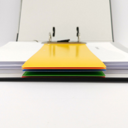 PRZEKŁADKI 1/3 A4 D.RECT MIX KARTON 200G 100SZT