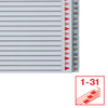 PRZEKŁADKI 1-31 A4 MAXI ESSELTE 100127 SZARY PP