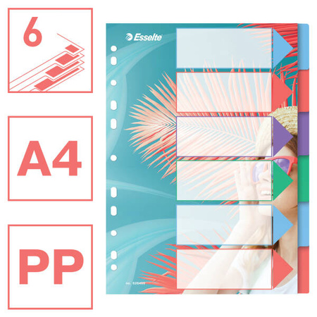 PRZEKŁADKI Z INDEKSAMI A4 ESSELTE 628499 MIX PP 6SZT