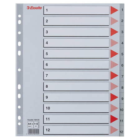 PRZEKŁADKI 1-12 A4 MAXI ESSELTE 100125 SZARY PP