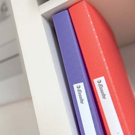 ALBUM OFERTOWY A4 ESSELTE COLOUR'BREEZE 628445 KORALOWY PLASTIK 80 KOSZULEK