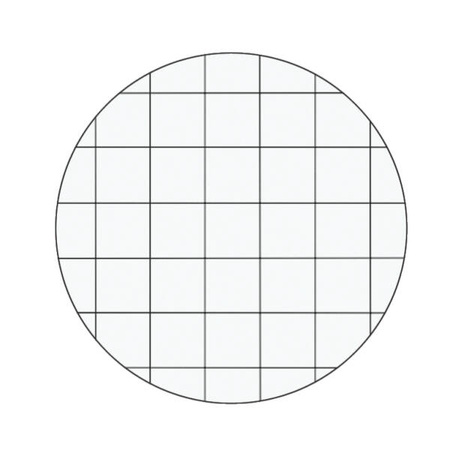 NOTATNIK A4 LEITZ WOW 46261054 ZIELONY W KRATKĘ TWARDA OPRAWA 80 KARTEK