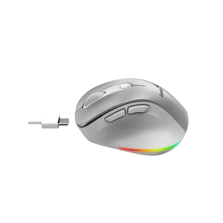 Genius Ergo 9000S Pro Mysz bezprzewodowa, srebrna, 2400DPI