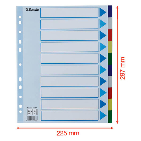 PRZEKŁADKI A4 MAXI ESSELTE 15267 MIX PP 10SZT