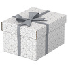 PUDŁO ARCHIWIZACYJNE 200X150X255MM ESSELTE 628280 BIAŁY 3SZT