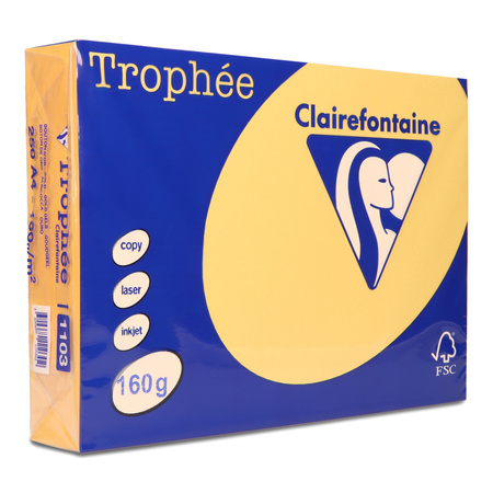 PAPIER KSERO KOLOR A4 TROPHEE ZŁOTY ŻÓŁTY 160G 250 ARK