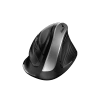 Genius Ergo 8250S Mysz bezprzewodowa, czarno-srebrna, 1600DPI