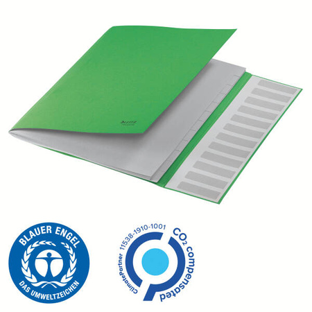 TECZKA SEGREGUJĄCA A4 LEITZ RECYCLE 39150055 ZIELONY KARTON 12 PRZEGRÓDEK