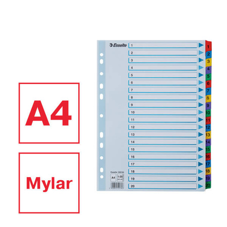 PRZEKŁADKI 1-20 A4 ESSELTE MYLAR 100163 MIX KARTON 160G
