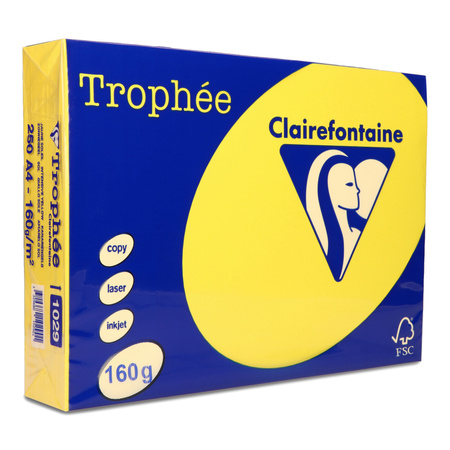 PAPIER KSERO KOLOR A4 TROPHEE SŁONECZNY 160G 250 ARK