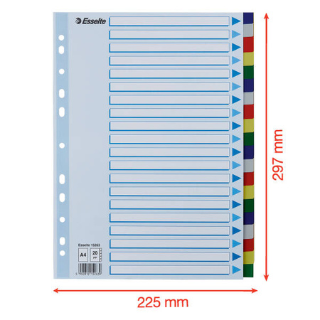 PRZEKŁADKI A4 ESSELTE 15263 MIX PP 20SZT