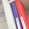 ALBUM OFERTOWY A4 ESSELTE COLOUR'BREEZE 628443 KORALOWY PLASTIK 60 KOSZULEK