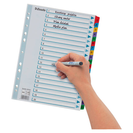 PRZEKŁADKI 1-20 A4 ESSELTE MYLAR 100163 MIX KARTON 160G