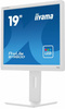 IIYAMA MONITOR 19 CALI B1980D-W5 DVI,VGA,PIVIOT,HAS/150MM,5:4