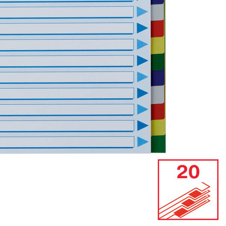 PRZEKŁADKI A4 ESSELTE 15263 MIX PP 20SZT