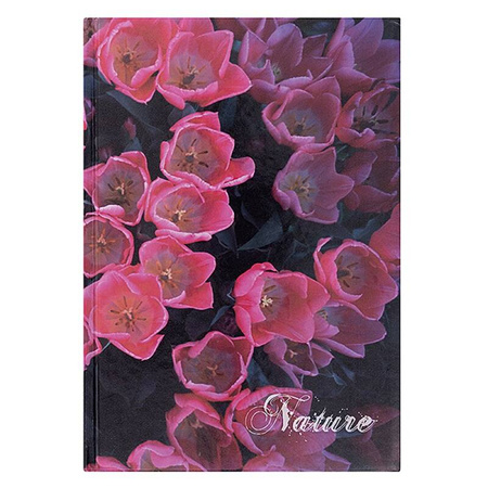 BRULION A5 OFFICE PRODUCTS NATURE KRATKA TWARDA OPRAWA 96KART
