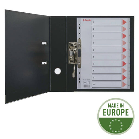 PRZEKŁADKI A4 ESSELTE MYLAR 100169 MIX KARTON 160G 12SZT