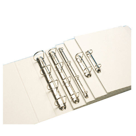 SEGREGATOR OFERTOWY A4 ESSELTE 49704 BIAŁY RINGOWY 