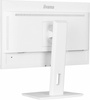 IIYAMA MONITOR 24 CALE XUB2497HSN-W1 IPS,USB-C DOCK,HDMI,DP
