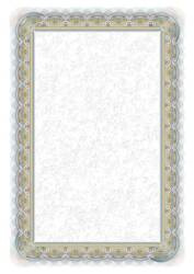 DYPLOM ARGO SREBRO 210125 250G 20ARK