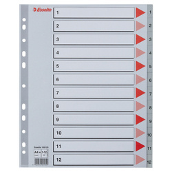 PRZEKŁADKI 1-12 A4 MAXI ESSELTE 100125 SZARY PP