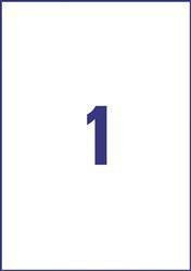 Etykiety zewnętrzne 210x297mm ochronne, zabezpieczające AVERY ZWECKFORM usuwalne L4775REV-20 białe 20ark*1szt