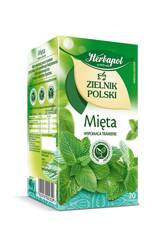 HERBATA MIĘTA HERBAPOL ZIELNIK POLSKI 20 TOREBEK