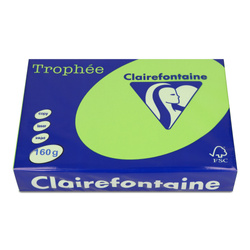 PAPIER KSERO KOLOR A4 TROPHEE MIĘTOWY 160G 250 ARK