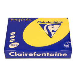 PAPIER KSERO KOLOR A4 TROPHEE SŁONECZNIKOWY 160G 250 ARK