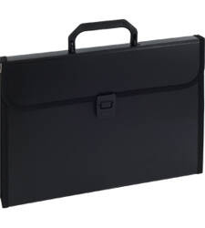 TECZKA Z RĄCZKĄ ROZSZERZANA A4 EAGLE 120-1219 CZARNA 12 PRZEGRÓDEK