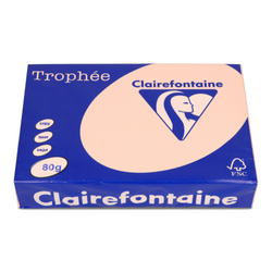 PAPIER KSERO KOLOR A4 TROPHEE ŁOSOSIOWY 80G 500 ARK